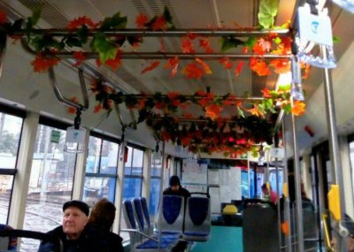 У «цветочного» трамвая в Ростове появился «конкурент»