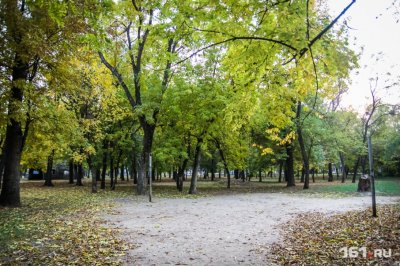 Власти Ростова пообещали посадить новые деревья вместо спиленных в парке Островского