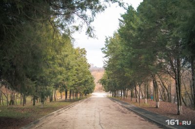 Ботанический сад ЮФУ планируют сделать туристическим центром к ЧМ-2018