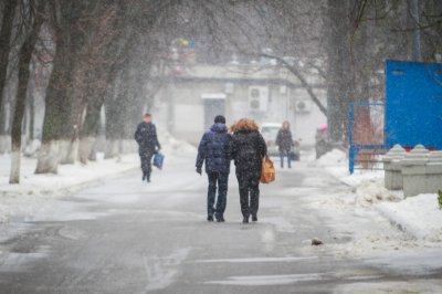 Сильный ветер и мокрый снег: в ближайшие сутки в Ростове ожидается резкое ухудшение погоды