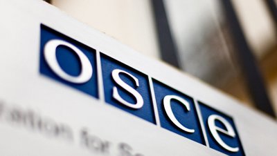 Делегация Совфеда примет участие в сессии ПА ОБСЕ в Вене