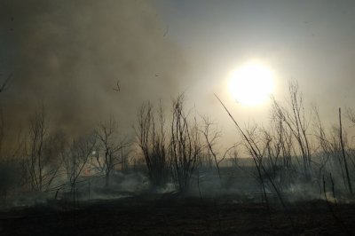 Вокруг Ростова полыхают пожары