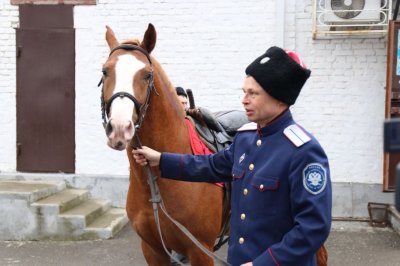 Колорит и безопасность: конные казаки будут охранять порядок в Ростове во время мундиаля