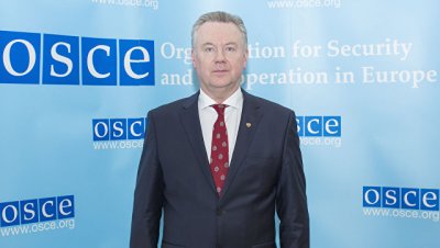 Лукашевич призвал ОБСЕ отреагировать на арест правозащитника Гапоненко