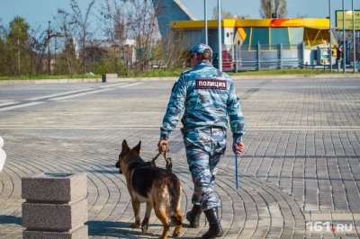 Полицейские Ростова накрыли точку продажи краснокнижной шемаи