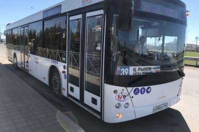 В День России на улицы Ростова выйдет больше автобусов № 39
