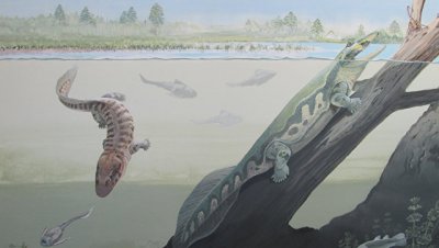 Ученые нашли в ЮАР останки древнейших четвероногих животных Земли