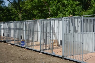 Добро пожаловать: стало известно, когда новый центр безнадзорных животных в Ростове примет питомцев