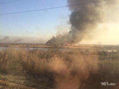 Дончан предупредили о высокой угрозе пожаров на выходных