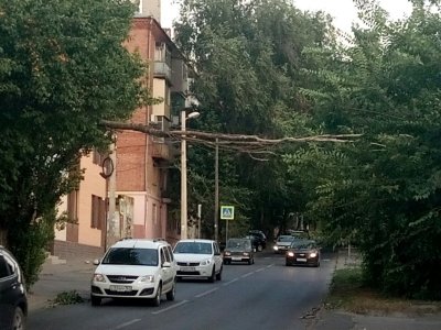 Сломалось дерево: в Ростове ветка зависла на проводах