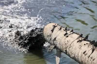 За сброс неочищенных вод в реку Темерник ростовская прокуратура наказала ЖК «Суворовский»