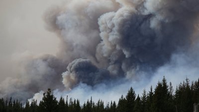 В Канаде молнии привели к возникновению нескольких десятков очагов пожаров