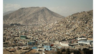 В МИД прокомментировали решение Афганистана о перемирии с талибами*