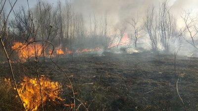 В районе Ростовского моря полыхает крупный ландшафтный пожар