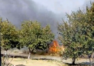 Огненный август: в Ростове в районе Змиевской балки вспыхнул ландшафтный пожар
