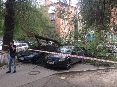 В центре Ростова рухнувшая из-за ветра ветка разбила три машины