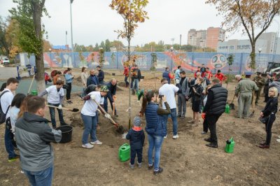Дубы, кустарники, лианы: в Ростове отметили День древонасаждения