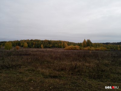 В Шолоховском районе пенсионерка отправилась в лес и заблудилась