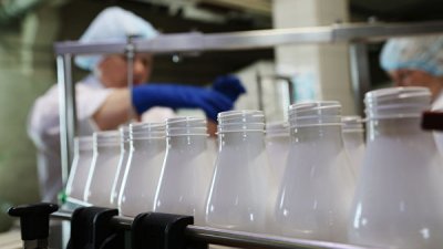 Минск призвал к борьбе с заменителями молочного жира в рамках ЕАЭС