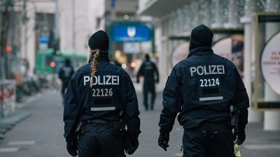 В Германии осы помогли полиции задержать пытавшегося сбежать преступника