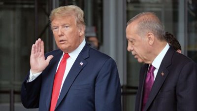 Трамп поддерживает усилия Турции по деэскалации в Сирии