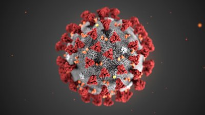 Аргентина предложила создать глобальный фонд по борьбе с коронавирусом
