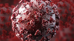 Инфекционист рассказала, при каких условиях коронавирус проживет 20 лет