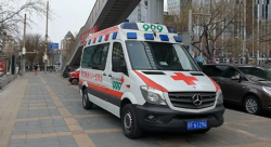 Красный Крест рассказал о подтвержденных случаях бубонной чумы