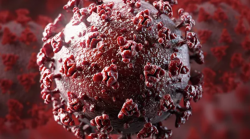 Ученый оценил новую версию появления коронавируса