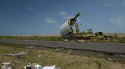 Адвокат рассказал о показаниях эксперта "Алмаз-Антея" по MH17