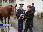 Кадетов будут обучать верховой езде в конных подразделениях Всевеликого войска Донского