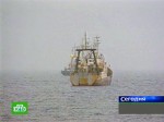 Обнаружен последний погибший член экипажа затонувшей около Курил шхуны