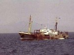 В Приморье за браконьерство задержаны три российских судна