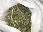 В Сальске нашли более 18 кг марихуаны (Ростовская область)