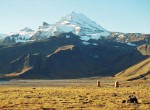 На Камчатке увеличилась сейсмическая активность вулкана Безымянный