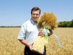 Украинский премьер поселит всех Януковичей в Белоруссии