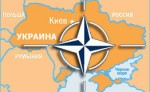 В Крыму проходит референдум о вступлении Украины в НАТО