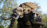 В Индии охотник убил разъяренного слона по кличке Бен Ладен
