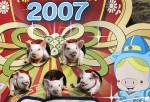 С новым 2007 годом! С годом огненной свиньи! (17 фото свиней)