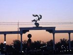 Ташкент на год стал культурной столицей ислама