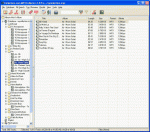     MP3 Collector Pro 2.3.1 - удобная каталогизация и HTML-галерея