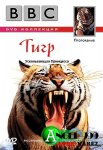 BBC Плотоядные - Тигр / BBC Wildlife Special - Tiger