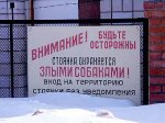 В России признают опасными сотню пород собак