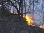 В Цимлянском районе два часа тушили лесной пожар 