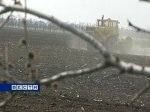 На юге Ростовской области завершается посевная компания 