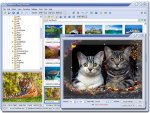 FastStone Image Viewer 3.1: бесплатный вьювер