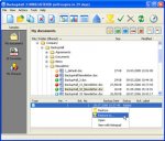 Backup4all 3.9: резервные копии данных