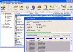 Internet Download Manager 5.0.9.5: удобный менеджер загрузки