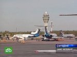 В аэропорту "Пулково" чайка помешала взлету "Боинга"
