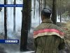 В Тарасовском районе продолжают бороться с лесными пожарами